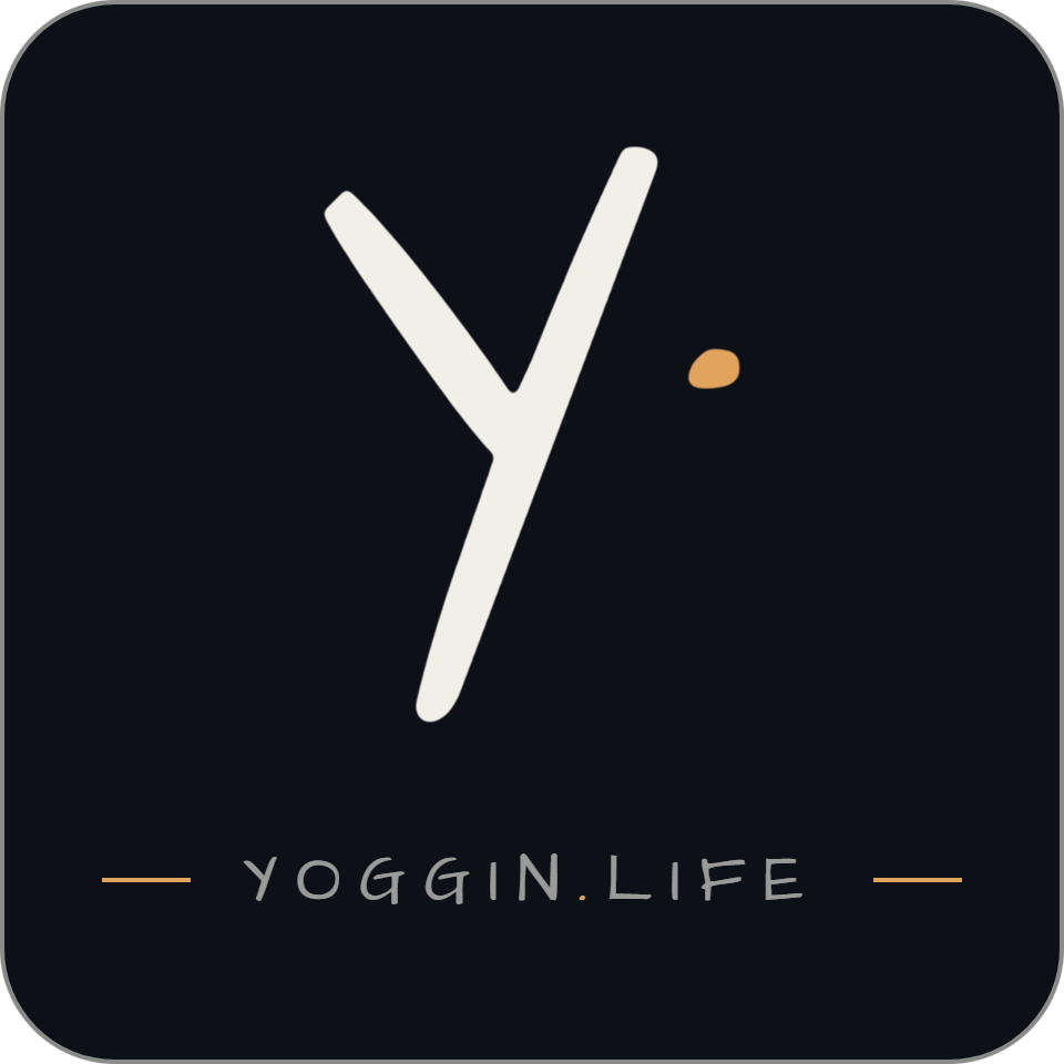 y plate sticker — night